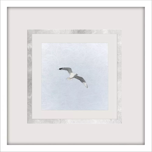 Modern Flight II A