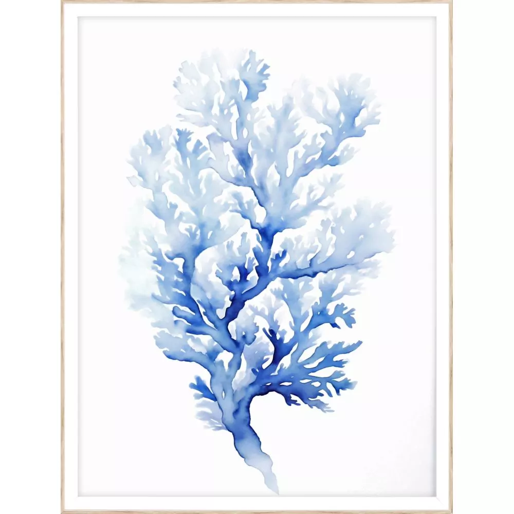 Indigo Coral I