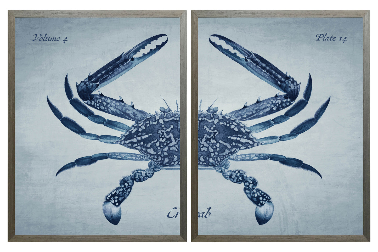 Navy Diptych Crab on a Light Blue Background