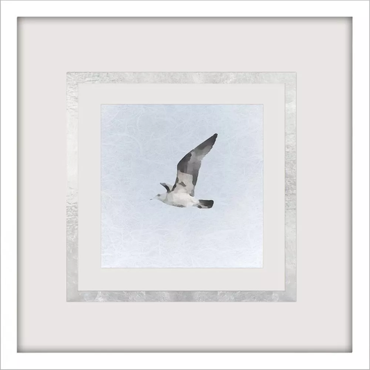 Modern Flight II B
