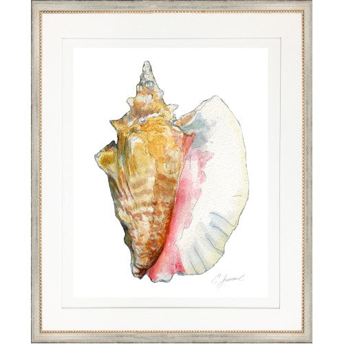 CL- SHELL 6 - 18" x 22" - 1" Silver Frame