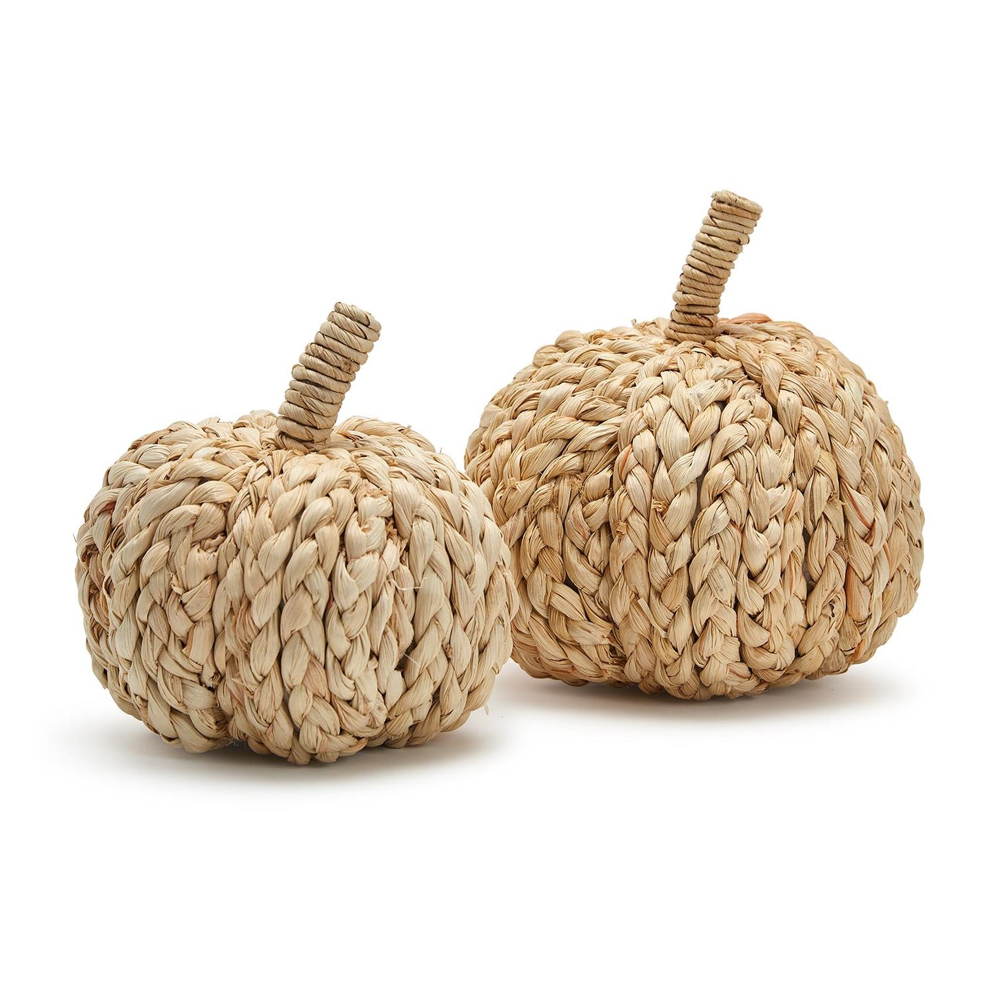Fall Fanfare Pumpkins