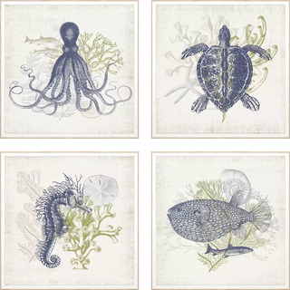 Coastal Ephemera   Set of 4
