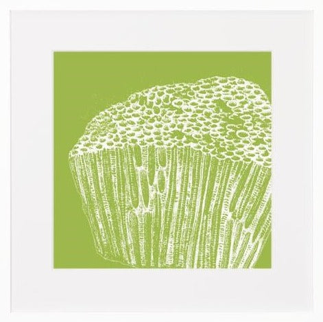 Green Coral Print