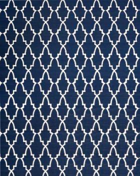 Blue White Outdoor Rug