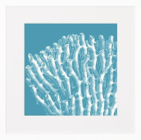 Blue Coral Print