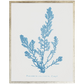 Blue Coral Print D