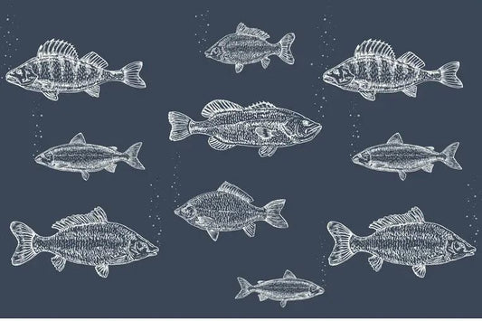 Sea of Fish Paper Placemats
